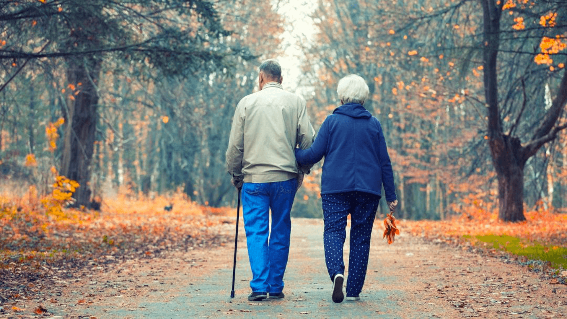 Tips for Red Deer Seniors That Like to Walk