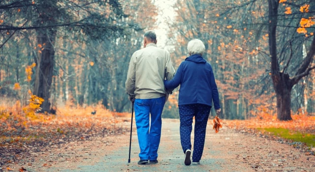 Tips for Red Deer Seniors That Like to Walk
